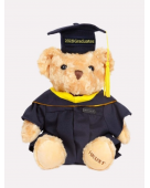 Graduation Bear (Master's Degree)